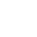 Wordpress-150x150-1